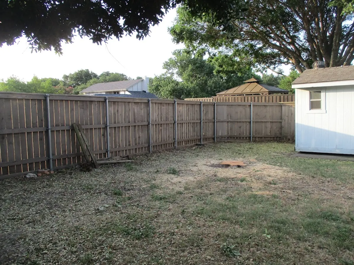 Cleared yard after professional tree removal in Bedford